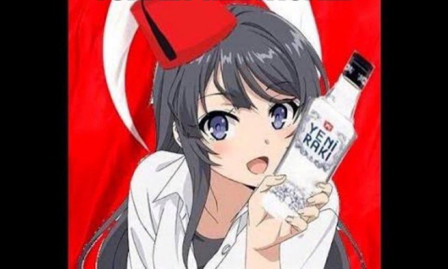 256
